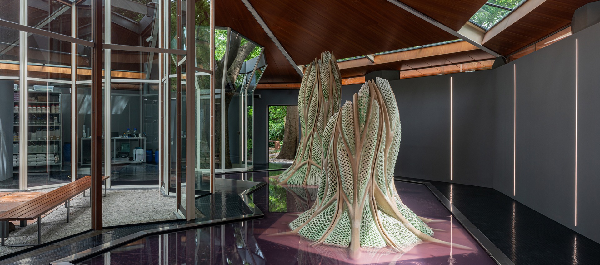 Picoplanktonics at the Canada Pavilion as part of the Biennale di